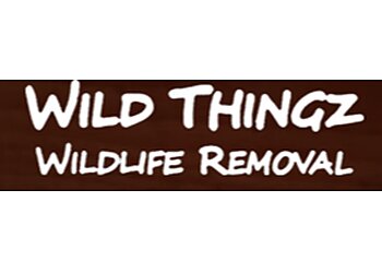 Wild Thingz Wildlife Removal Columbia Animal Removal image 1