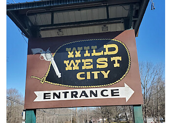 Wild West City