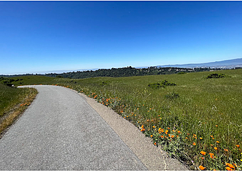 Richmond Hiking Trails Wildcat Canyon Regional Park