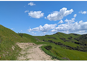 Richmond Hiking Trails Wildcat Canyon Regional Park