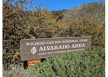 Wildcat Canyon Regional Park Richmond Hiking Trails