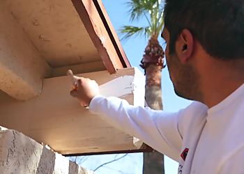 Tucson Painters Wildcat Painting Company LLC