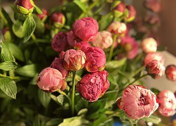 Coral Springs Florists Wildflowers of Parkland