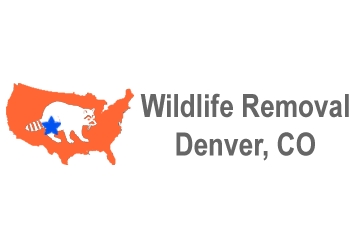 Wildlife Removal Denver