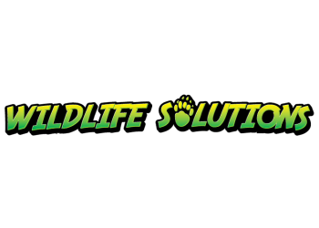 Knoxville Animal Removal Wildlife Solutions LLC.