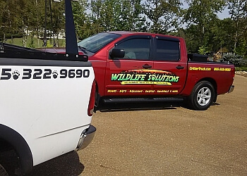 Knoxville Animal Removal Wildlife Solutions LLC.