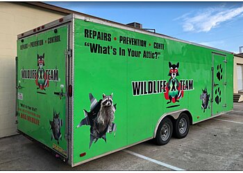 Wildlife X Team San Antonio Animal Removal image 1