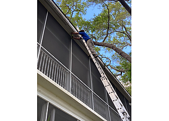 Tampa Animal Removal Wildout Animal & Pest Removal Tampa