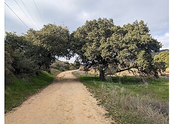 Moreno Valley Hiking Trails Wildwood Canyon State Park
