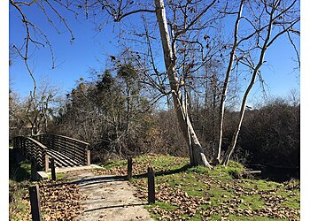 Fresno Hiking Trails Wildwood Native Park