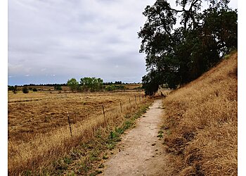 Fresno Hiking Trails Wildwood Native Park