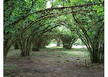 Salem Hiking Trails Willamette Mission State Park