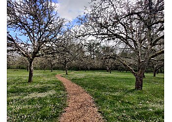 Salem Hiking Trails Willamette Mission State Park