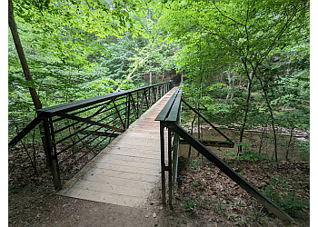 3 Best Hiking Trails in Raleigh, NC - Expert Recommendations