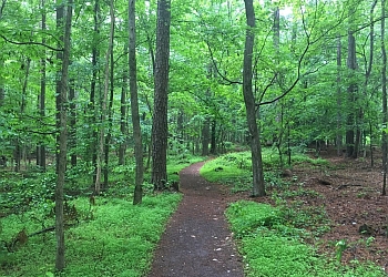 3 Best Hiking Trails in Raleigh, NC - ThreeBestRated