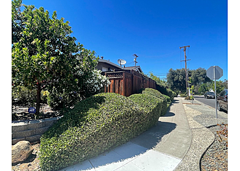 San Jose Lawn Care Services Willow Glen Gardening