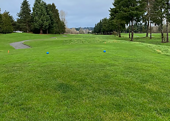 Willows Run Golf Complex Bellevue Golf Courses image 1