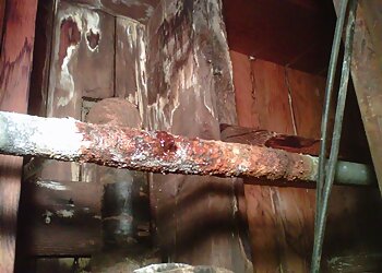 Inglewood Plumbers Willy's Plumbing, Inc.