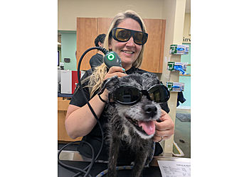 Wilmington Veterinary Clinics Wilmington Animal Healthcare