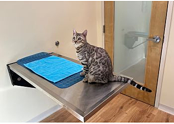 Wilmington Veterinary Clinics Wilmington Animal Healthcare