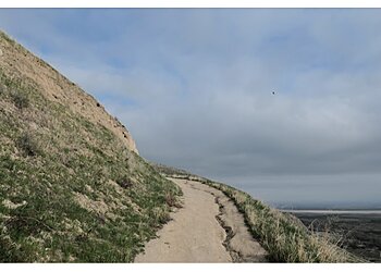 Bakersfield Hiking Trails Wind Wolves Preserve