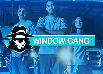 Window Gang Norfolk Window Cleaners image 1