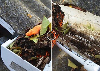 Charleston Window Cleaners Window Hero Charleston