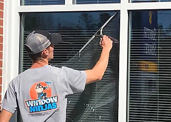 Chesapeake Window Cleaners Window Ninjas