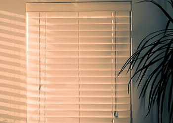 Tempe Window Treatment Stores Window Statement