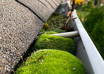 Tacoma Gutter Cleaners Window and Gutter Cleaning Ninjas LLC