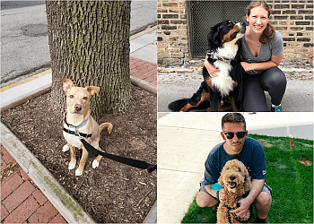 Chicago Dog Walkers Windy City Dog Walkers