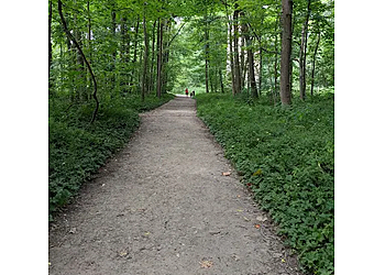 Erie Hiking Trails Wintergreen Gorge