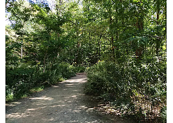 Erie Hiking Trails Wintergreen Gorge