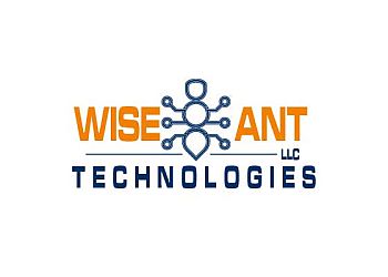 Wise Ant Technologies  Brownsville Web Designers