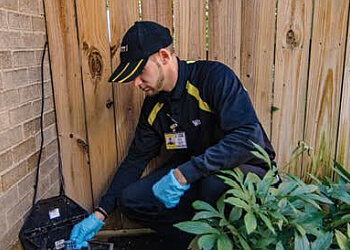 3 Best Pest Control Companies in Pittsburgh, PA - Expert Recommendations