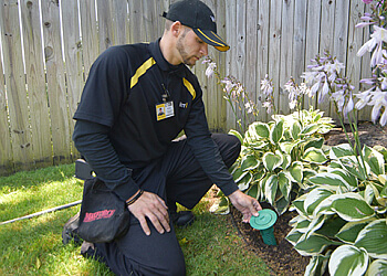 3 Best Pest Control Companies in Pittsburgh, PA - Expert Recommendations