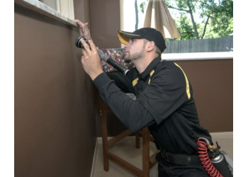 3 Best Pest Control Companies in Pittsburgh, PA - ThreeBestRated