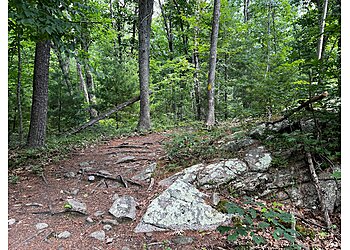 Providence Hiking Trails Wolf Hill Forest Preserve