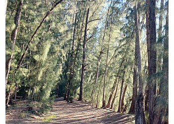 Miramar Hiking Trails Wolf Lake Park