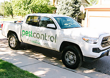 Arvada Pest Control Companies Wolfco Pest Control