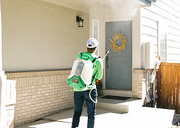 Arvada Pest Control Companies Wolfco Pest Control