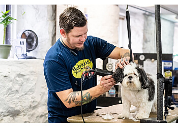 3 Best Pet Grooming in St Louis, MO - Expert Recommendations