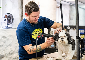 St Louis Pet Grooming Wolfgang's Pet Stop