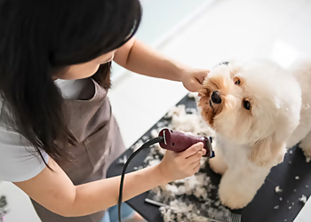 St Louis Pet Grooming Wolfgang's Pet Stop