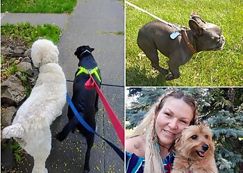 Spokane Dog Walkers Wonder Walks