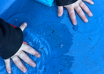 Oakland Occupational Therapists Wonders Pediatric Therapy