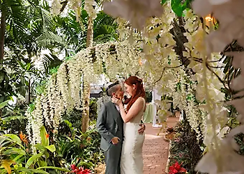 Wonderstruck Wedding & Event Planning - Port St Lucie, FL Wedding Planners - Service Highlights