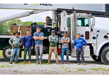 Woodland Tree Service - Memphis, TN Tree Services