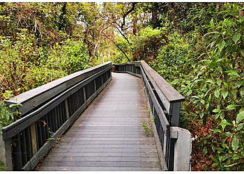 Coral Springs Hiking Trails Woodmont Natural Area