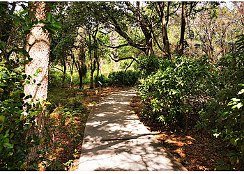 Coral Springs Hiking Trails Woodmont Natural Area